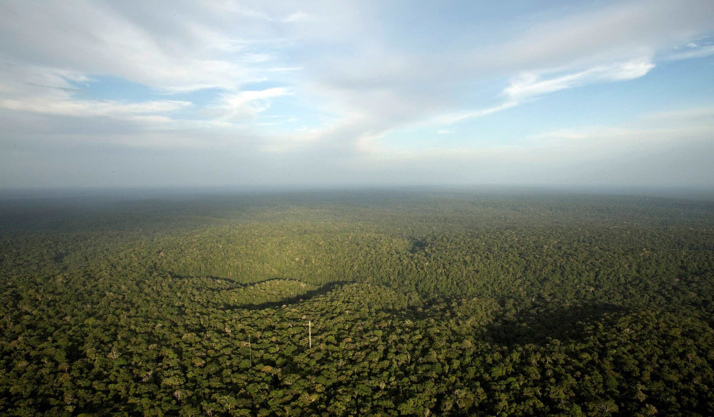 Deforestation in Brazil threatens world’s biggest rainfores