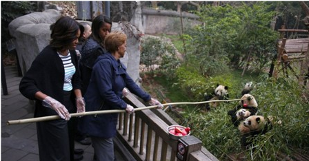 美第一夫人米歇尔一家成都喂熊猫 结束七日中国之旅