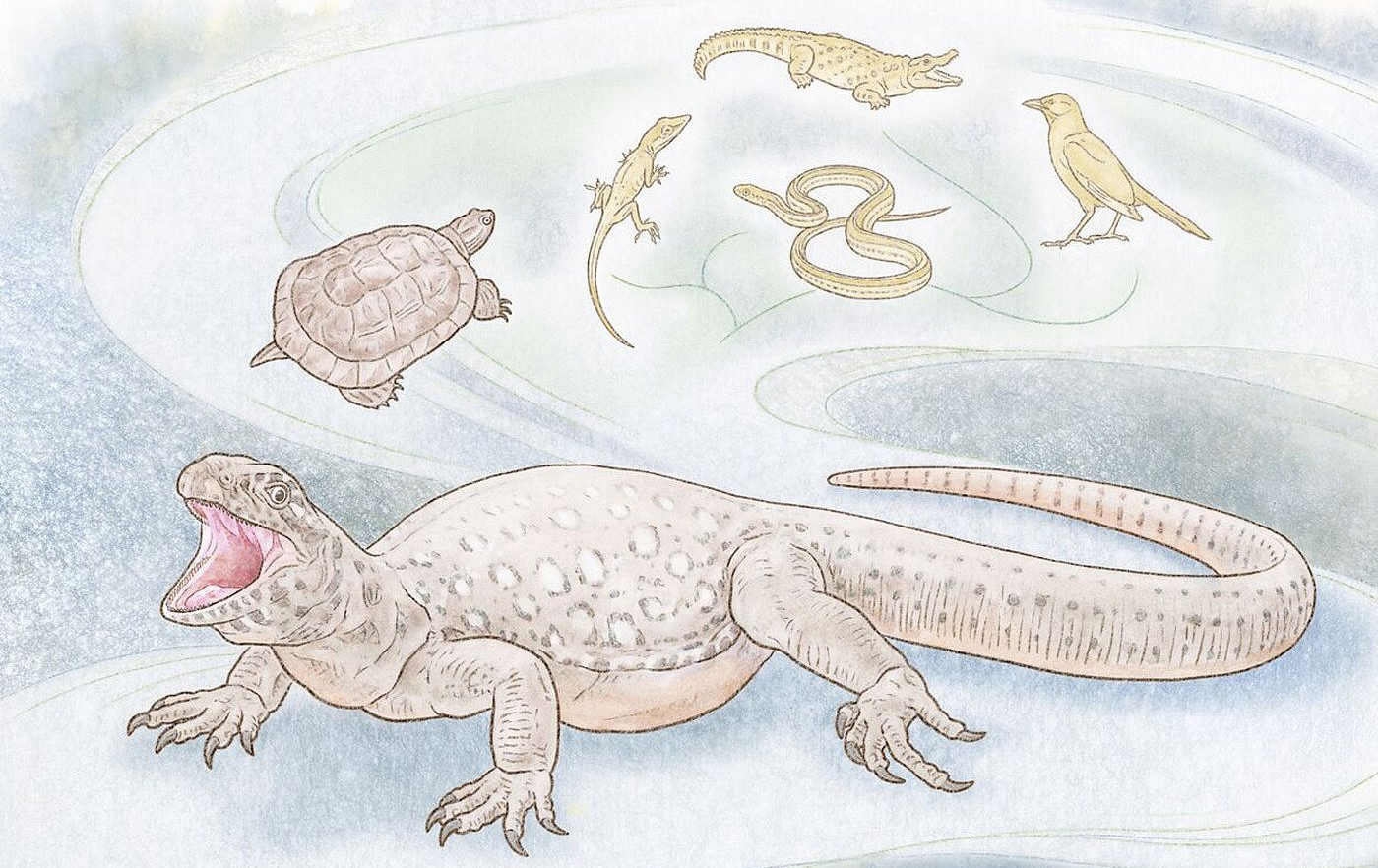 Tiny fossils expand amphibious timeline by at least 15 milli