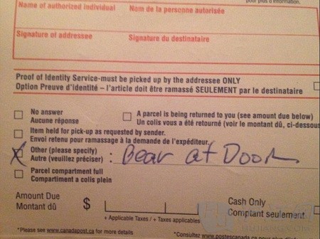 加拿大邮差无法投递 留言门口有熊