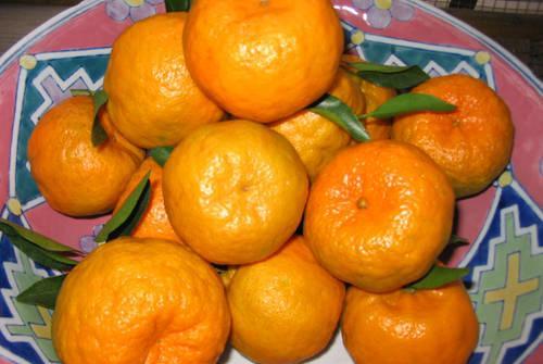 Orange是橘子还是橙子?学了多年英语的你未必说得清?