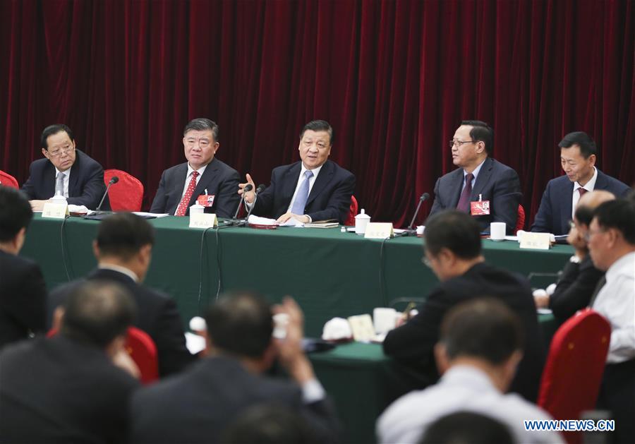 Chinese leaders join panel discussions with political adviso