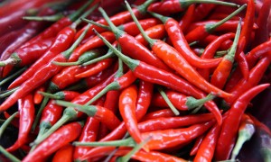研究：吃辣椒可降低死于心脏病和中风的风险