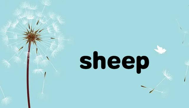 SHEEP的复数形式是什么?sheep绵羊的复数