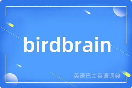 birdbrain