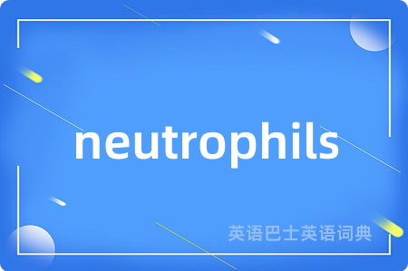 neutrophils