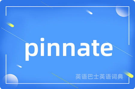 pinnate