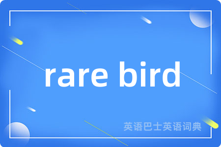 rare bird